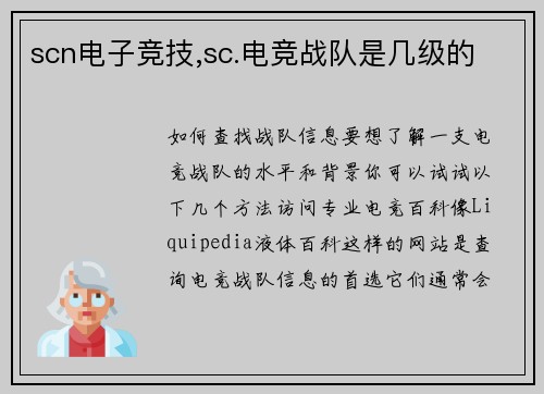 scn电子竞技,sc.电竞战队是几级的